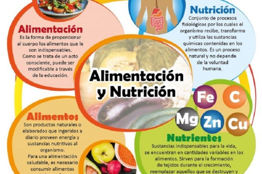 diseño sin título (11)
