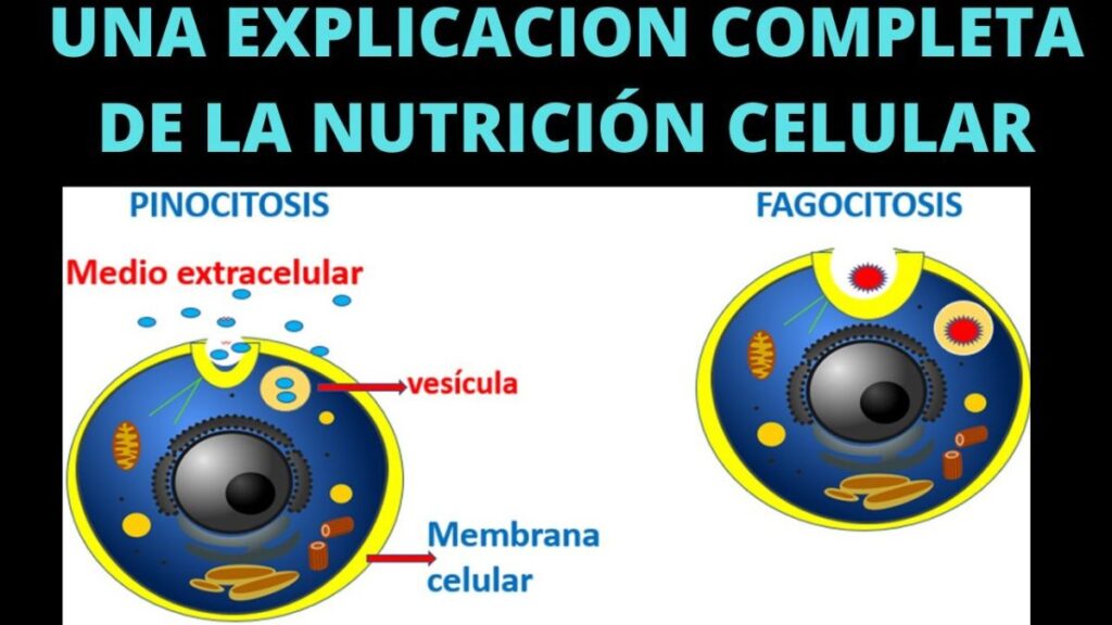 IMAGEN1 1024x576